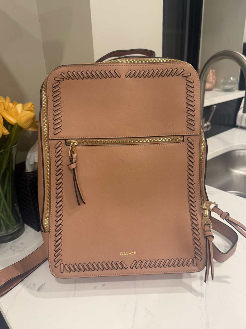 Calpak Carmel Leather Laptop Backpack (like new)